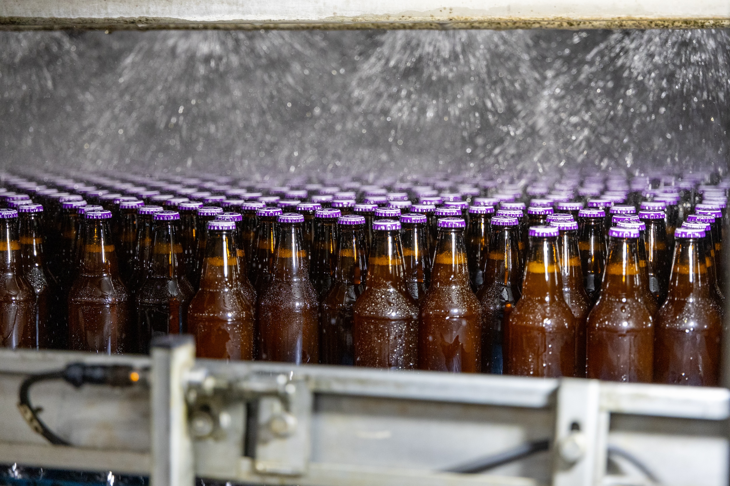 assembly line of beer bottles in a cGMP certified facility
