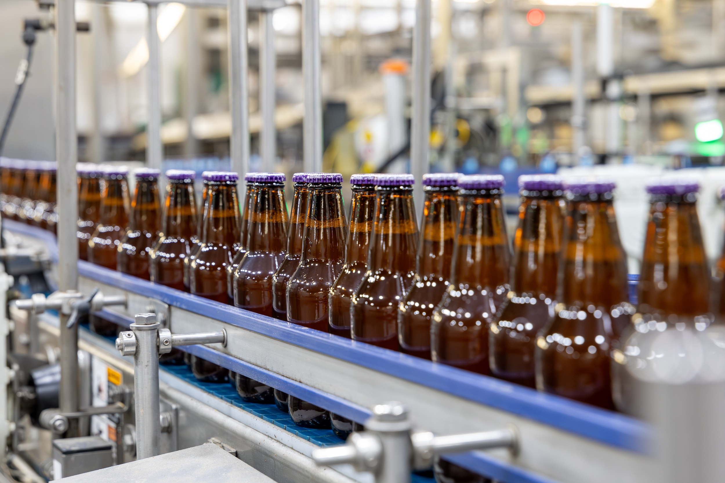 bottled beer on a manufacturing assembly line